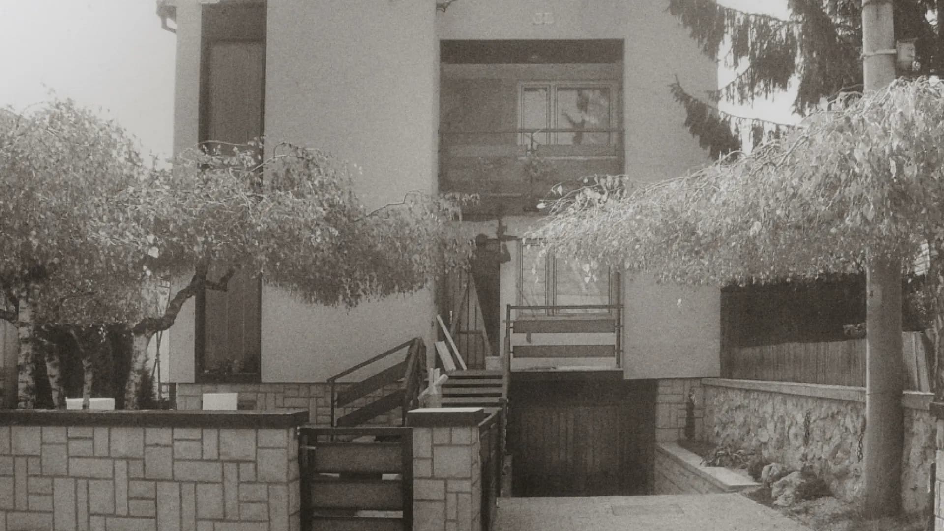 1981 - Začátky za socialismu.